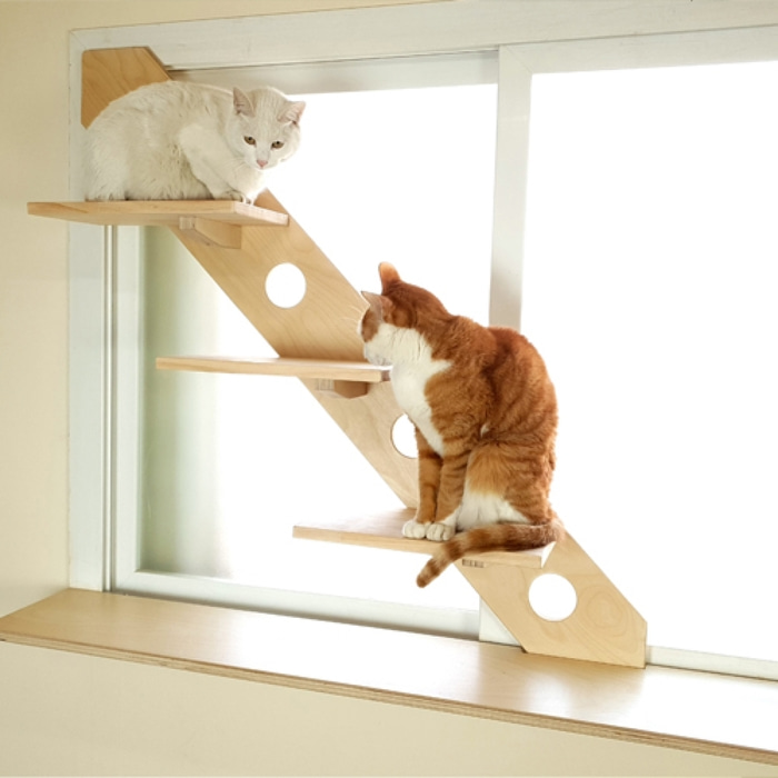 윈도캣 창문 고양이 계단 - 윈도스텝